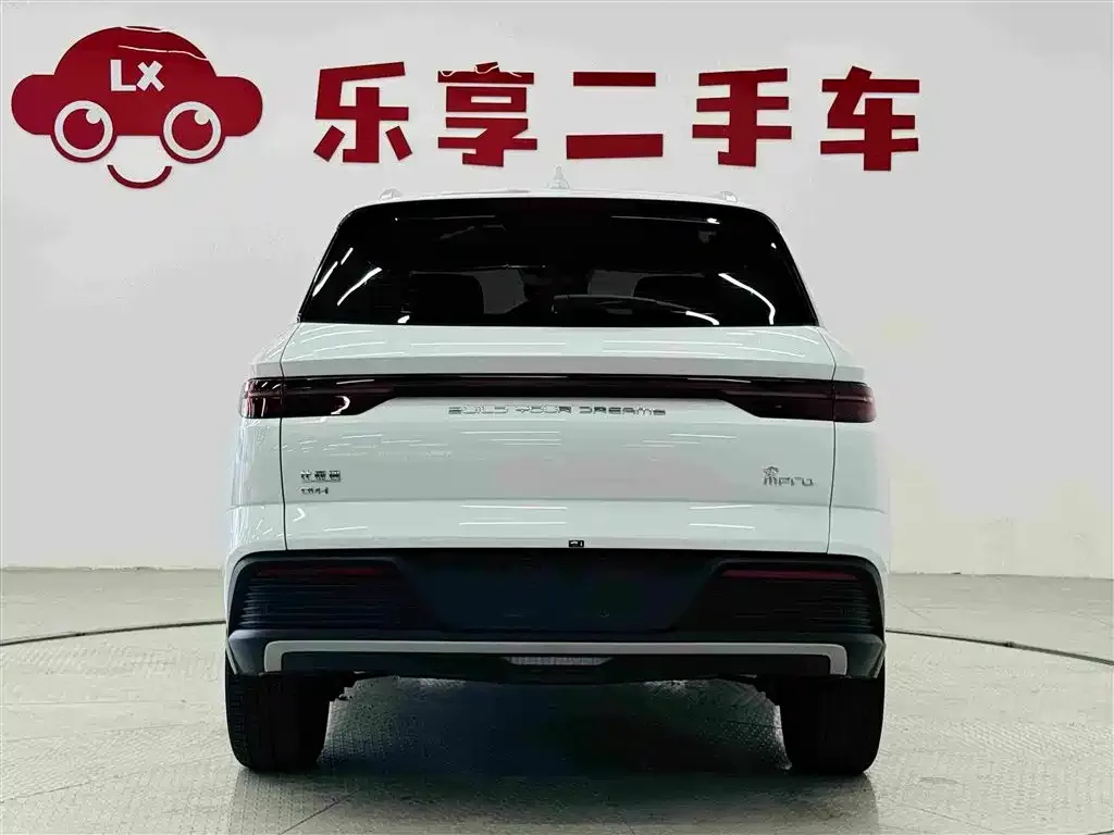 BYD Pro New Energy — фото 2
