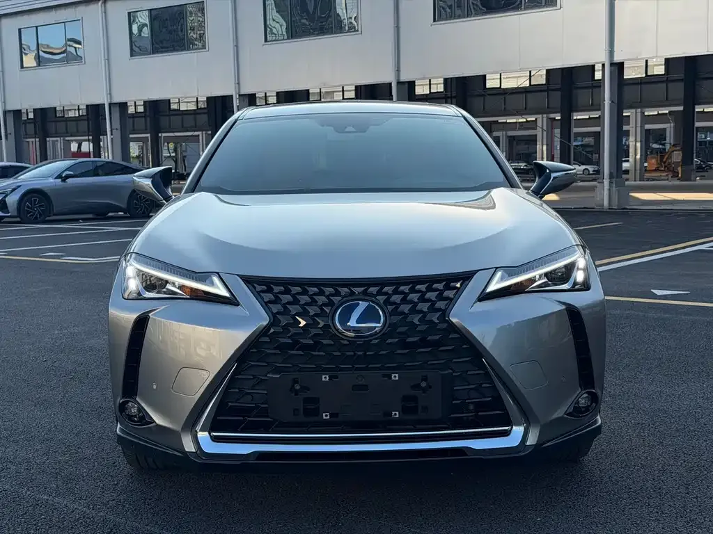 Lexus UX New Energy — фото 8