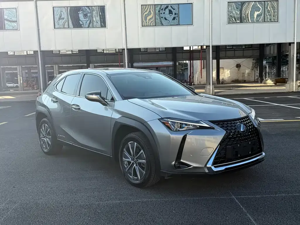 Lexus UX New Energy — фото 10