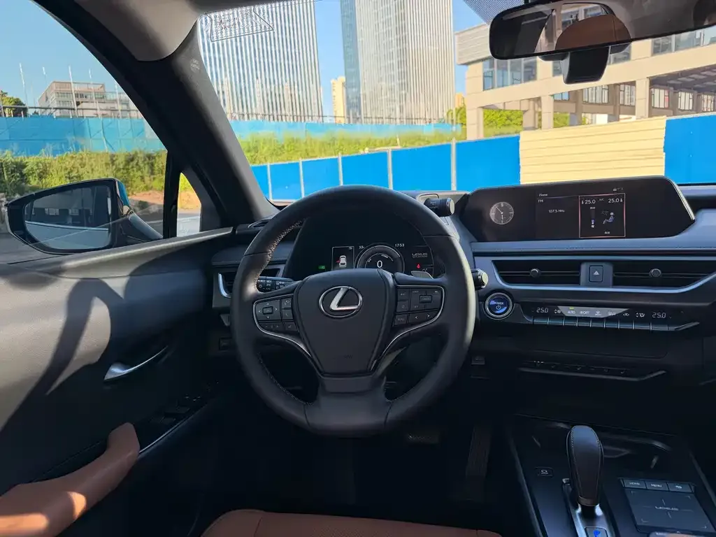 Lexus UX New Energy — фото 9