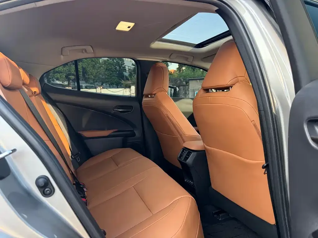 Lexus UX New Energy — фото 2
