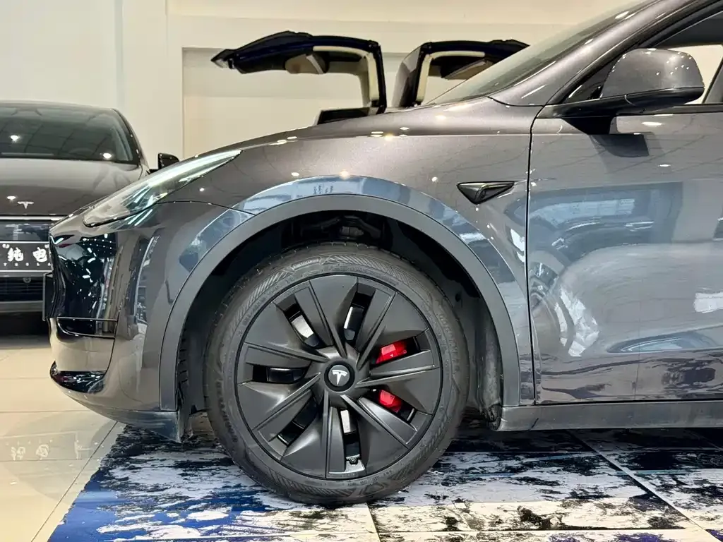 Tesla Model Y — фото 8