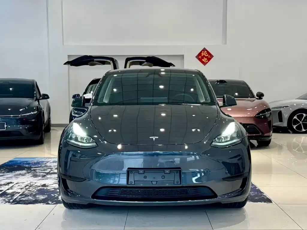 Tesla Model Y — фото 5