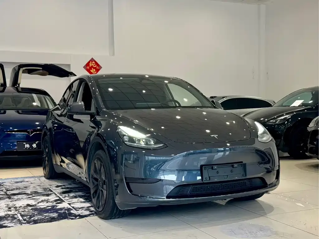 Tesla Model Y — фото 6