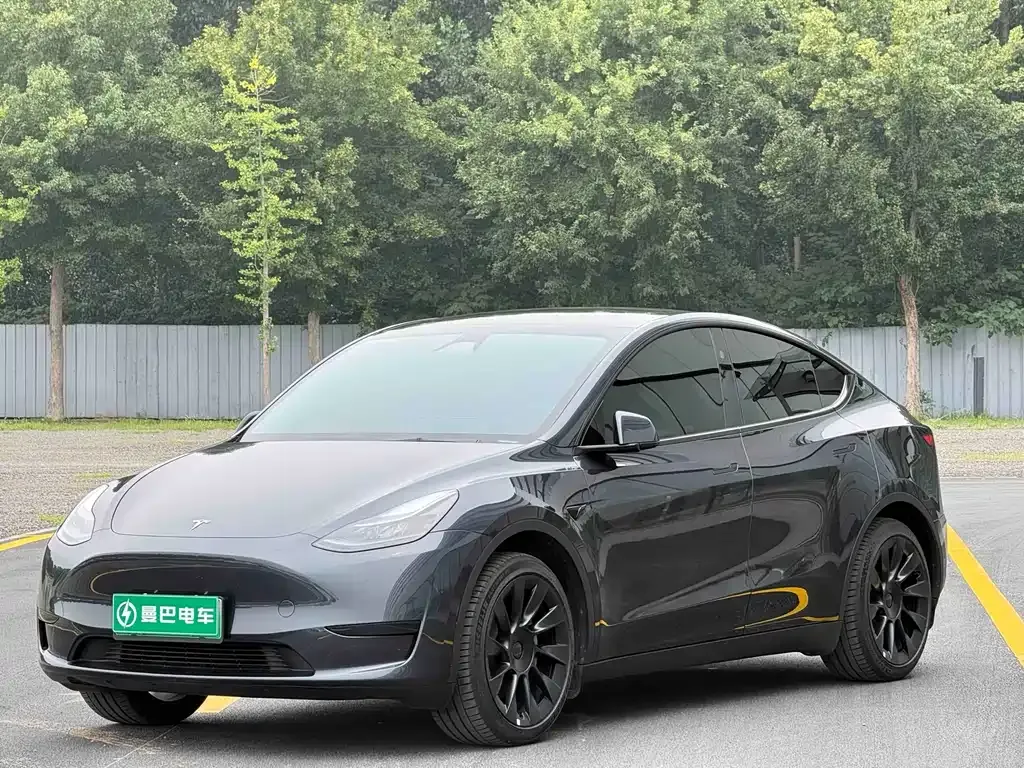 Tesla Model Y — фото 1