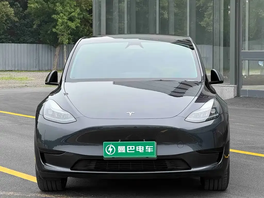 Tesla Model Y — фото 8