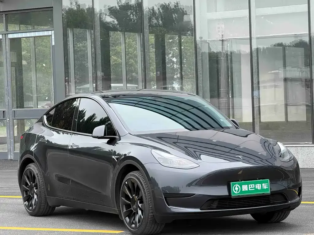 Tesla Model Y — фото 3