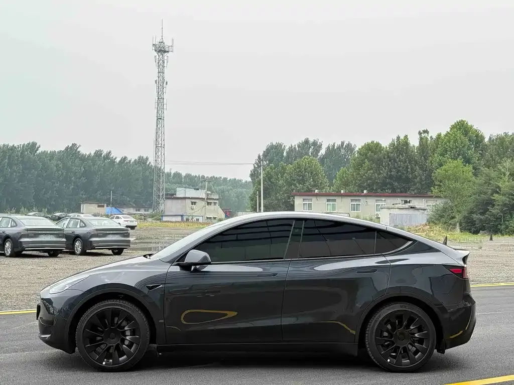 Tesla Model Y — фото 6