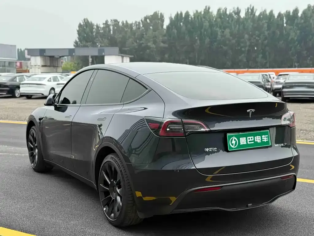 Tesla Model Y — фото 9