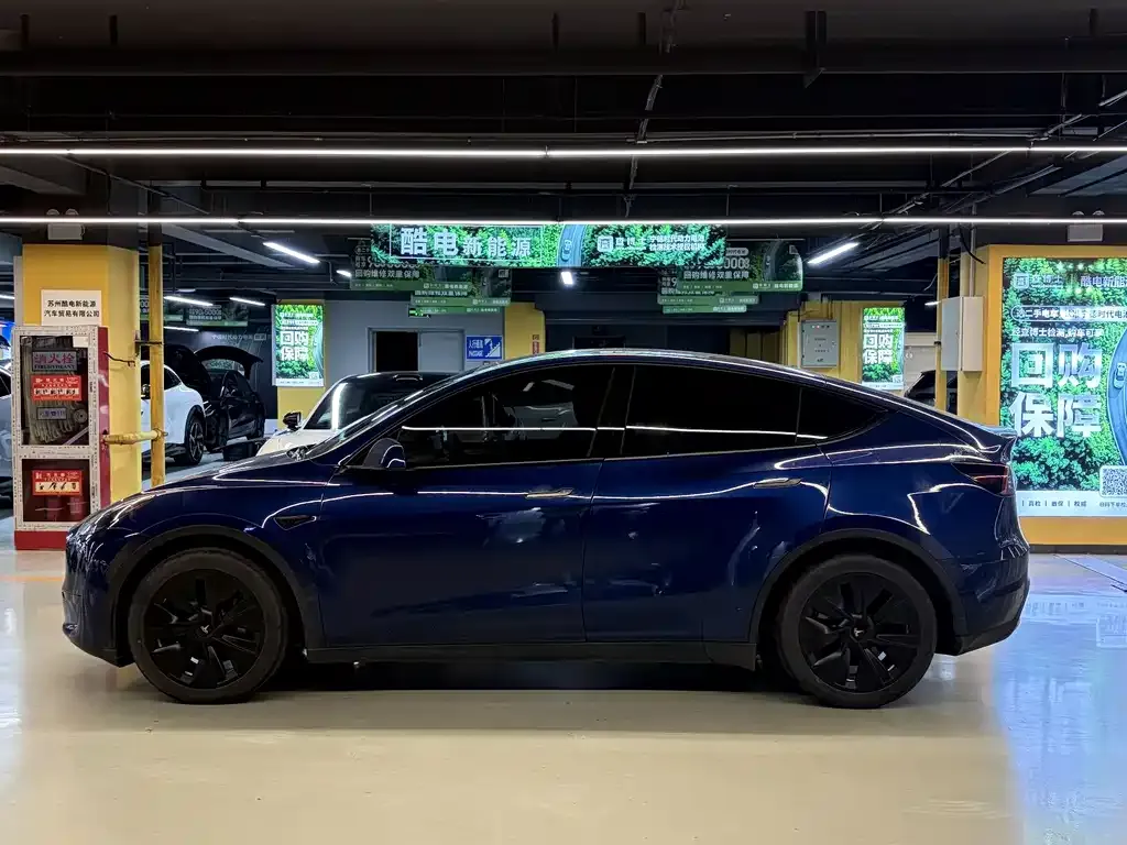 Tesla Model Y — фото 3