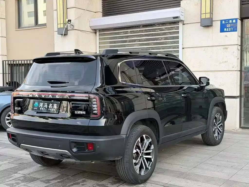 Haval Big Dog 2024 из CN, фото 4