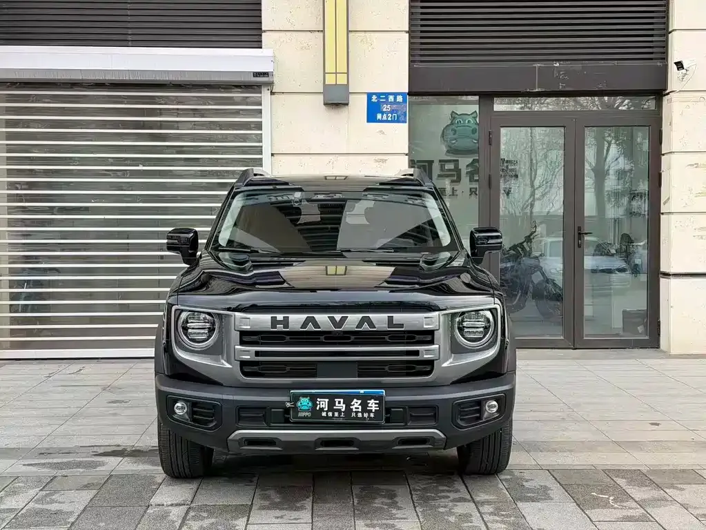 Haval Big Dog 2024 из CN, фото 10