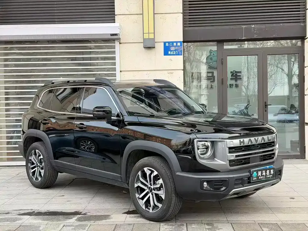 Haval Big Dog 2024 из CN, фото 7