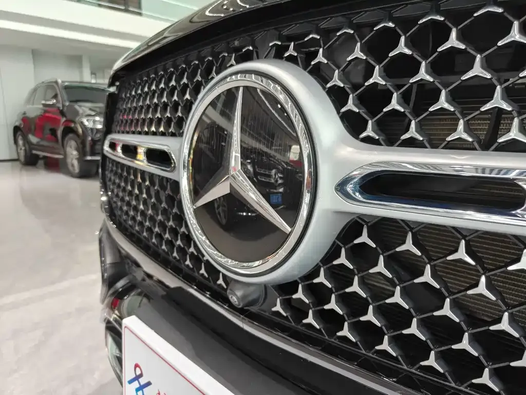 Mercedes-Benz 奔驰GLE(进口) — фото 7