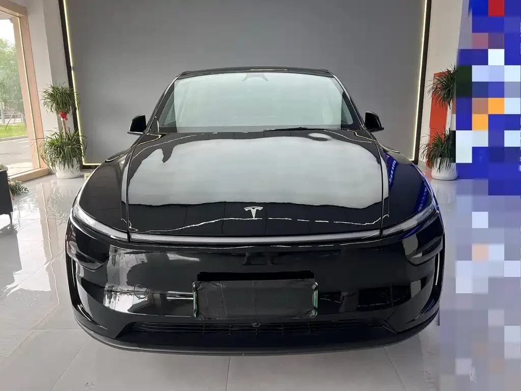 Tesla Model Y — фото 8