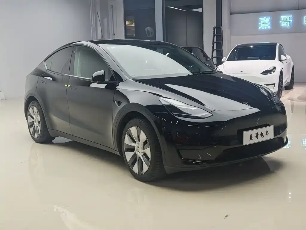 Tesla Model Y — фото 3
