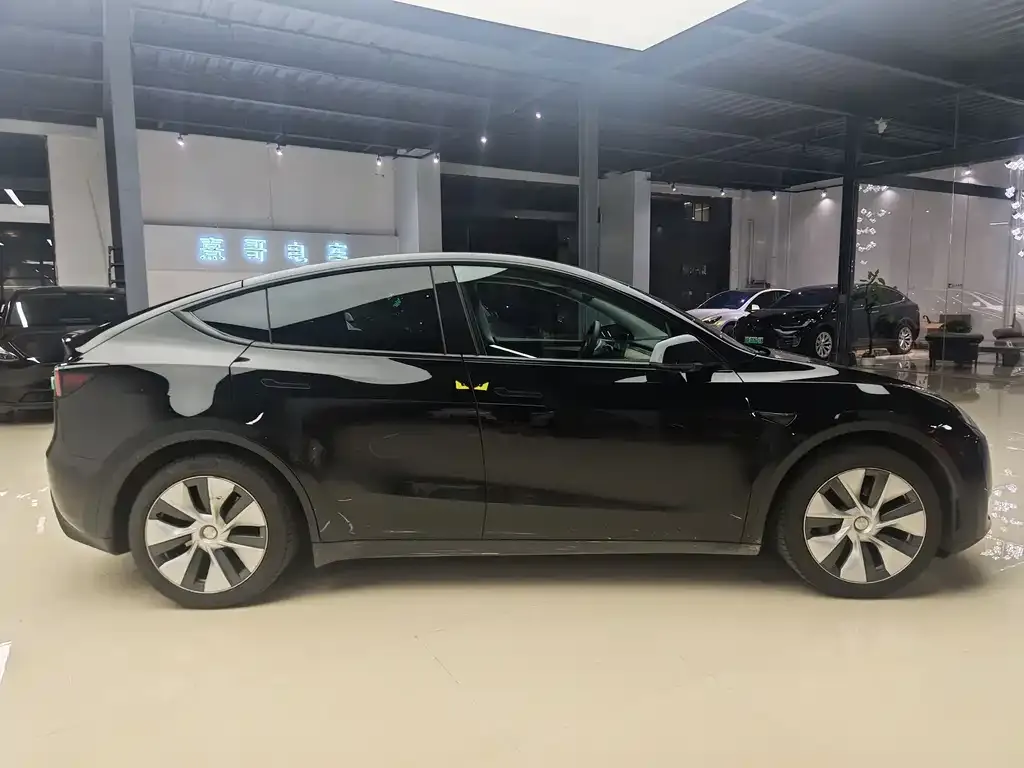 Tesla Model Y — фото 10