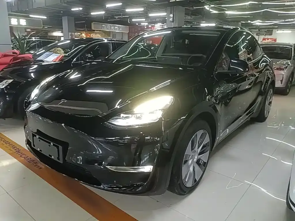 Tesla Model Y — фото 6