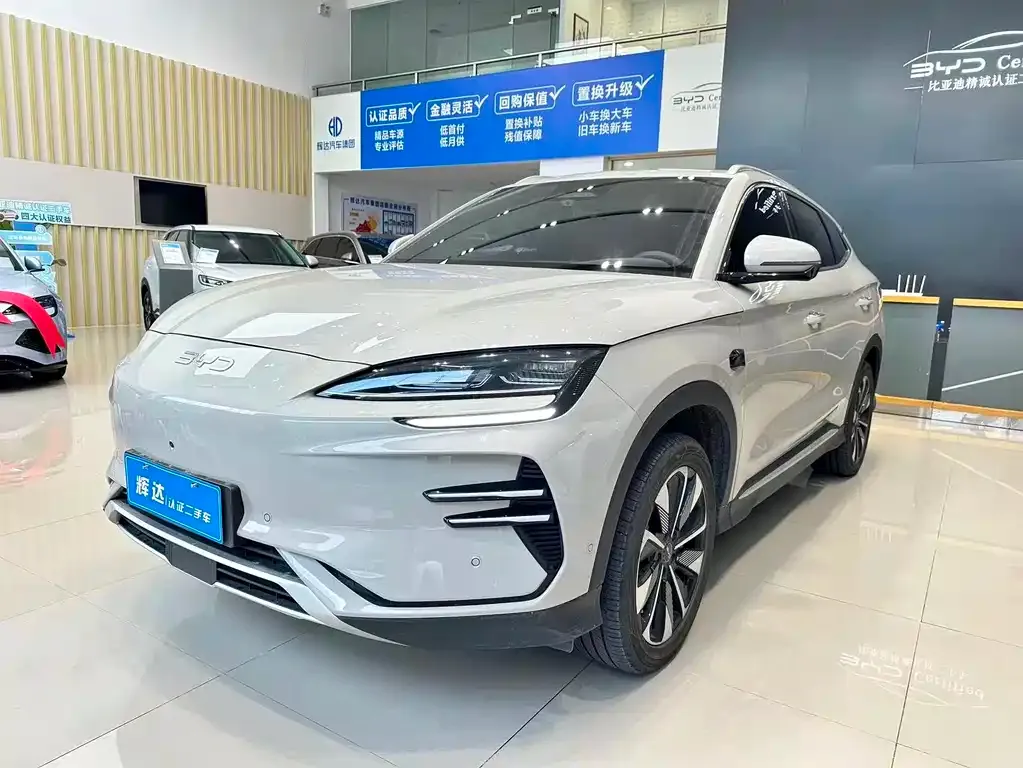 BYD PLUS New Energy — фото 1