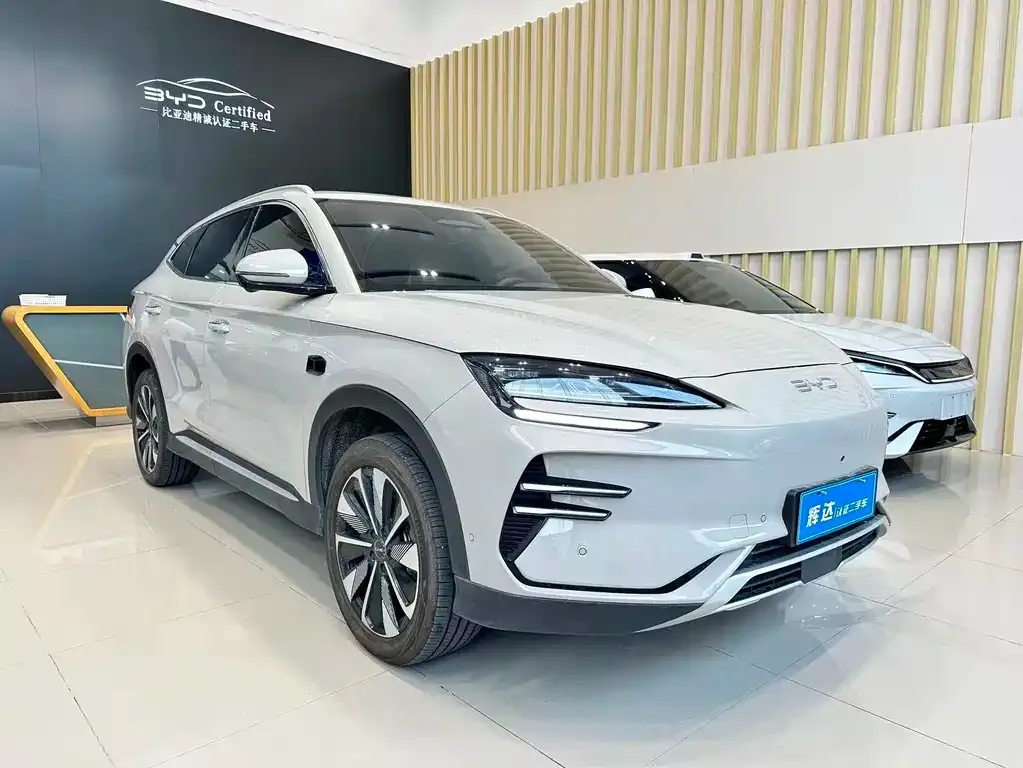 BYD PLUS New Energy — фото 6