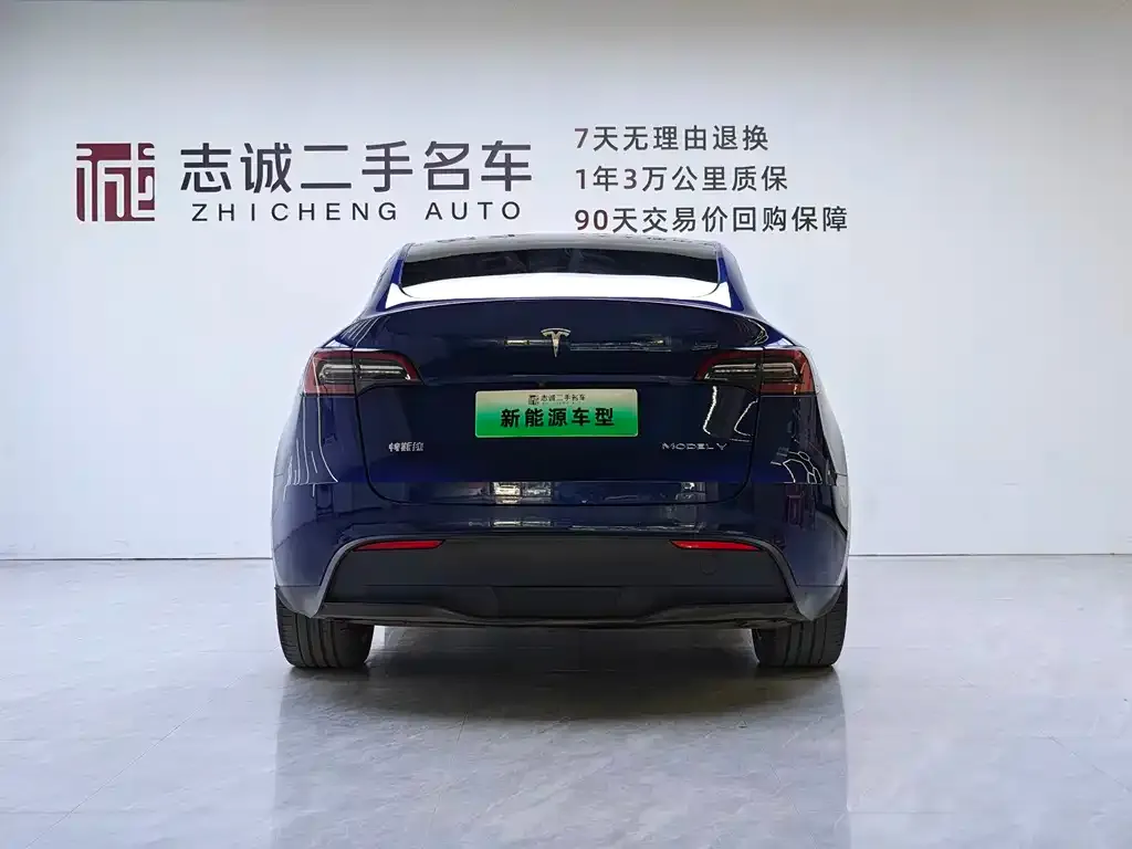 Tesla Model Y — фото 8