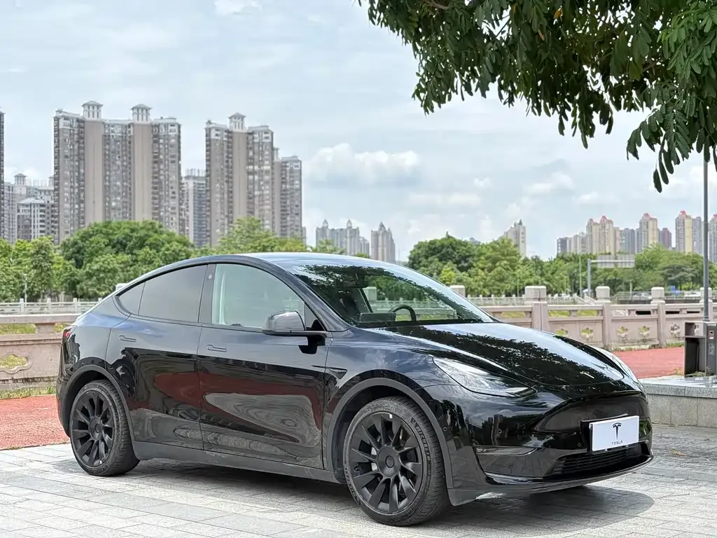 Tesla Model Y — фото 8