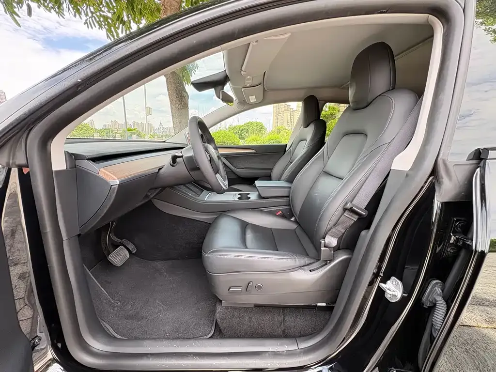 Tesla Model Y — фото 6