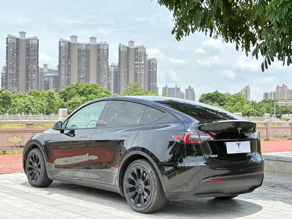 Tesla Model Y — фото 7