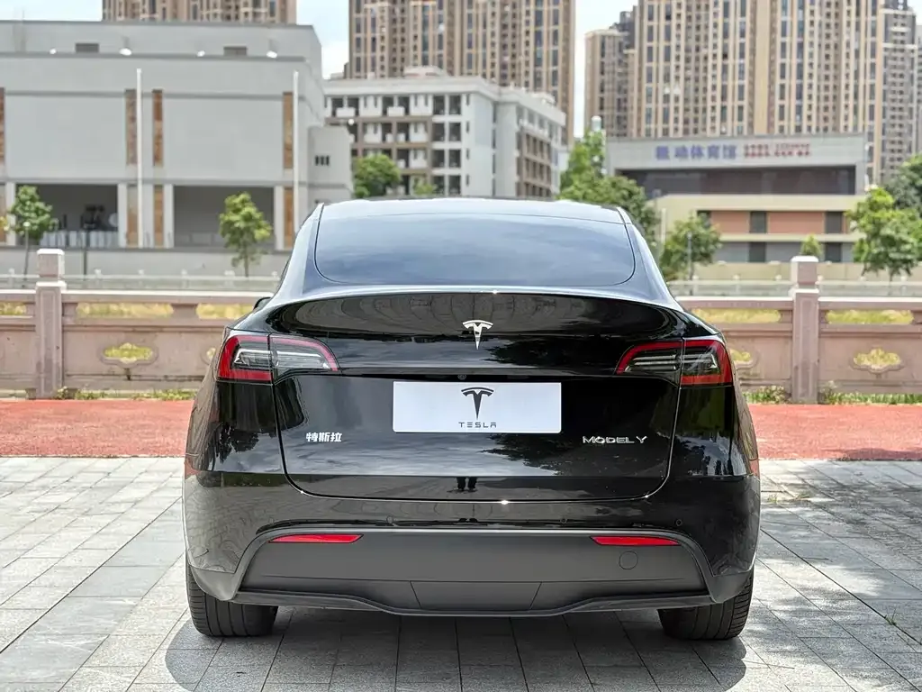 Tesla Model Y — фото 3
