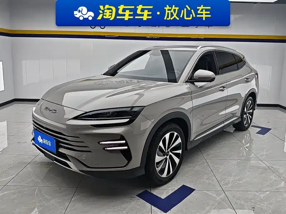 BYD PLUS New Energy — фото 1