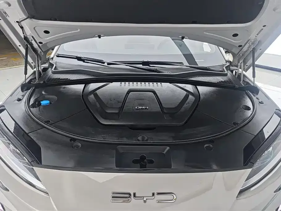 BYD PLUS New Energy — фото 8