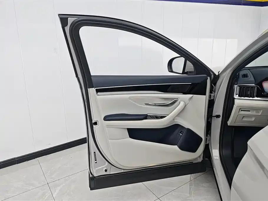 BYD PLUS New Energy — фото 3