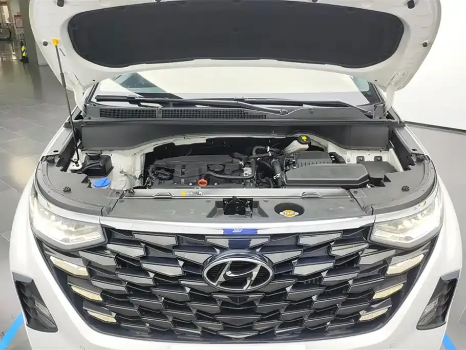 Hyundai Custo — фото 10