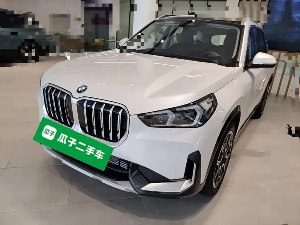 BMW X1 — фото 10