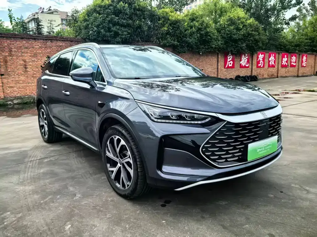 BYD Tang New Energy — фото 10