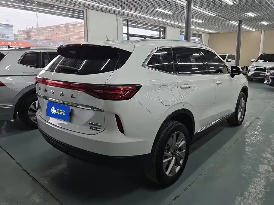 Haval H6 New Energy 2022 из CN, фото 3