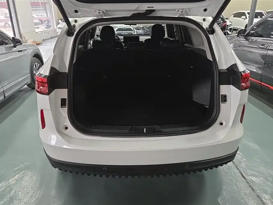 Haval H6 New Energy 2022 из CN, фото 8