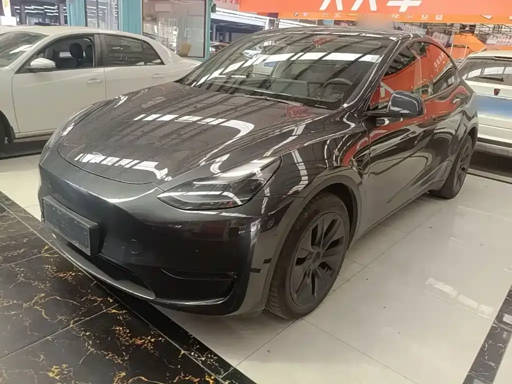 Tesla Model Y — фото 10