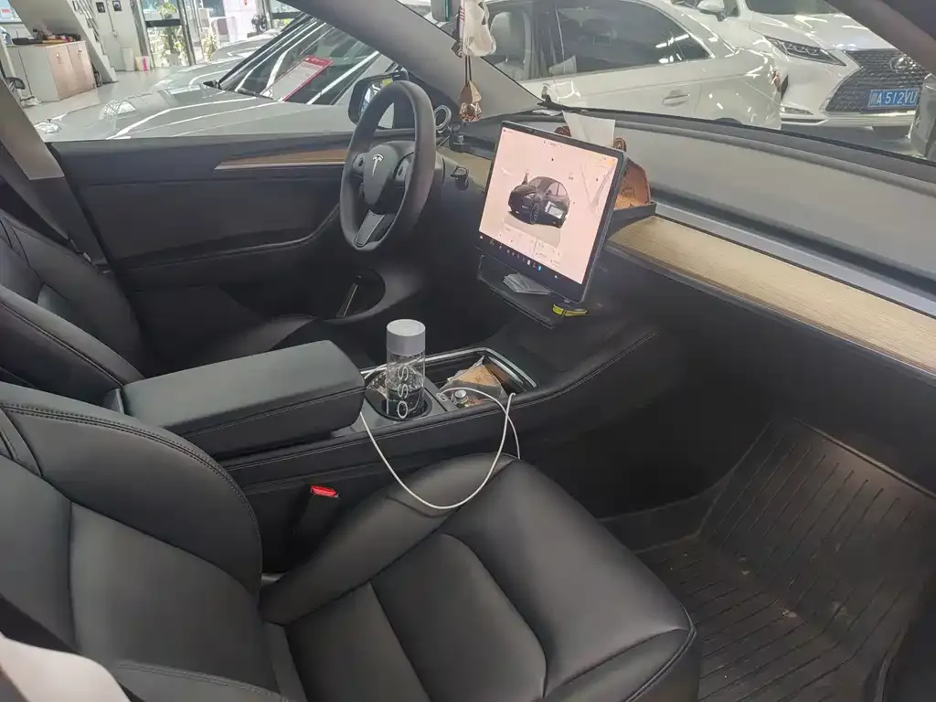 Tesla Model Y — фото 10