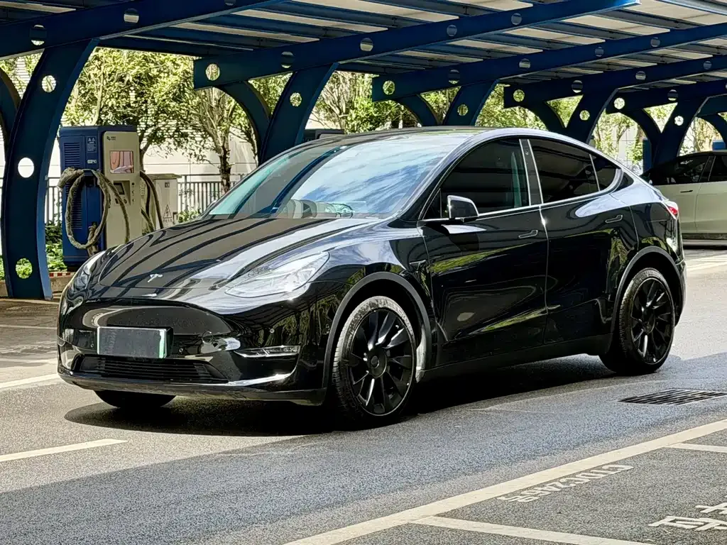 Tesla Model Y — фото 1