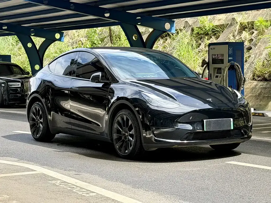 Tesla Model Y — фото 8