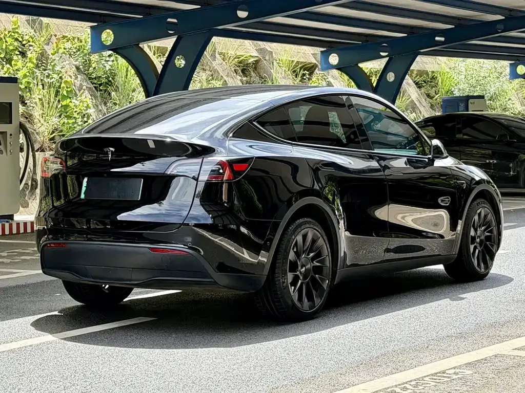 Tesla Model Y — фото 9
