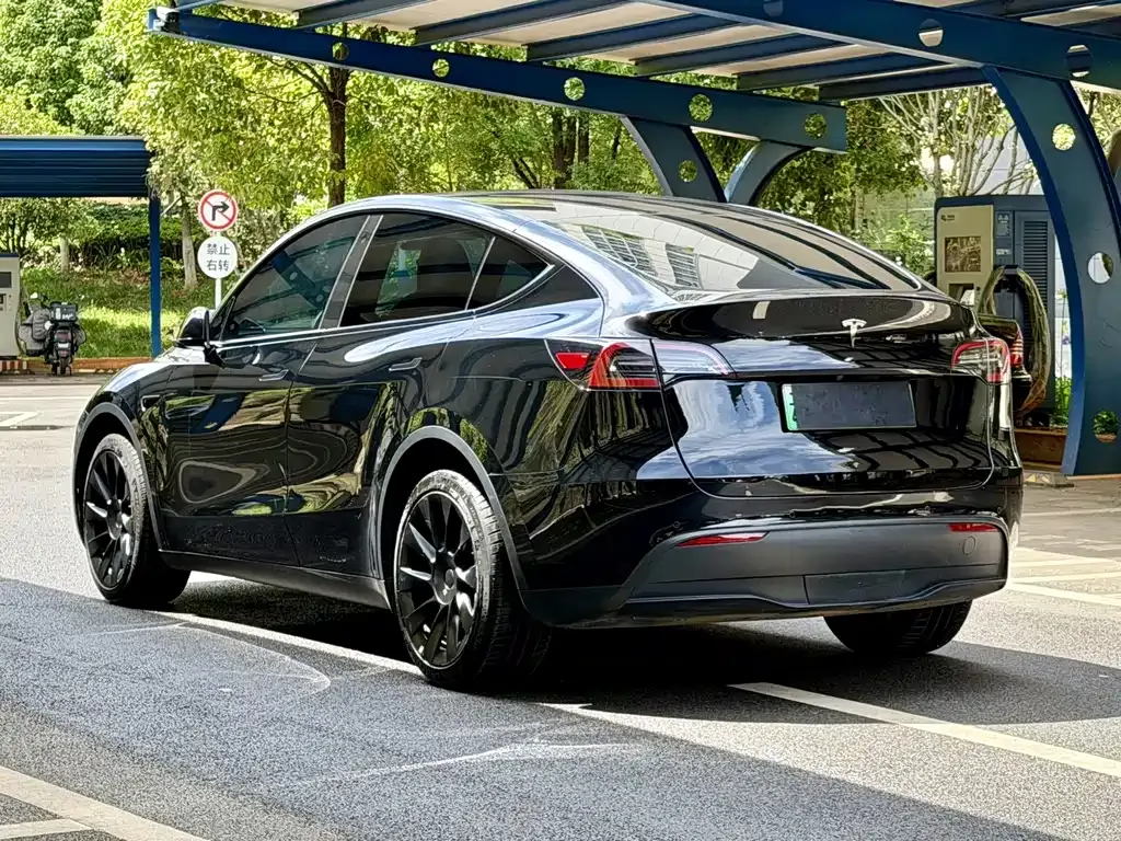 Tesla Model Y — фото 10