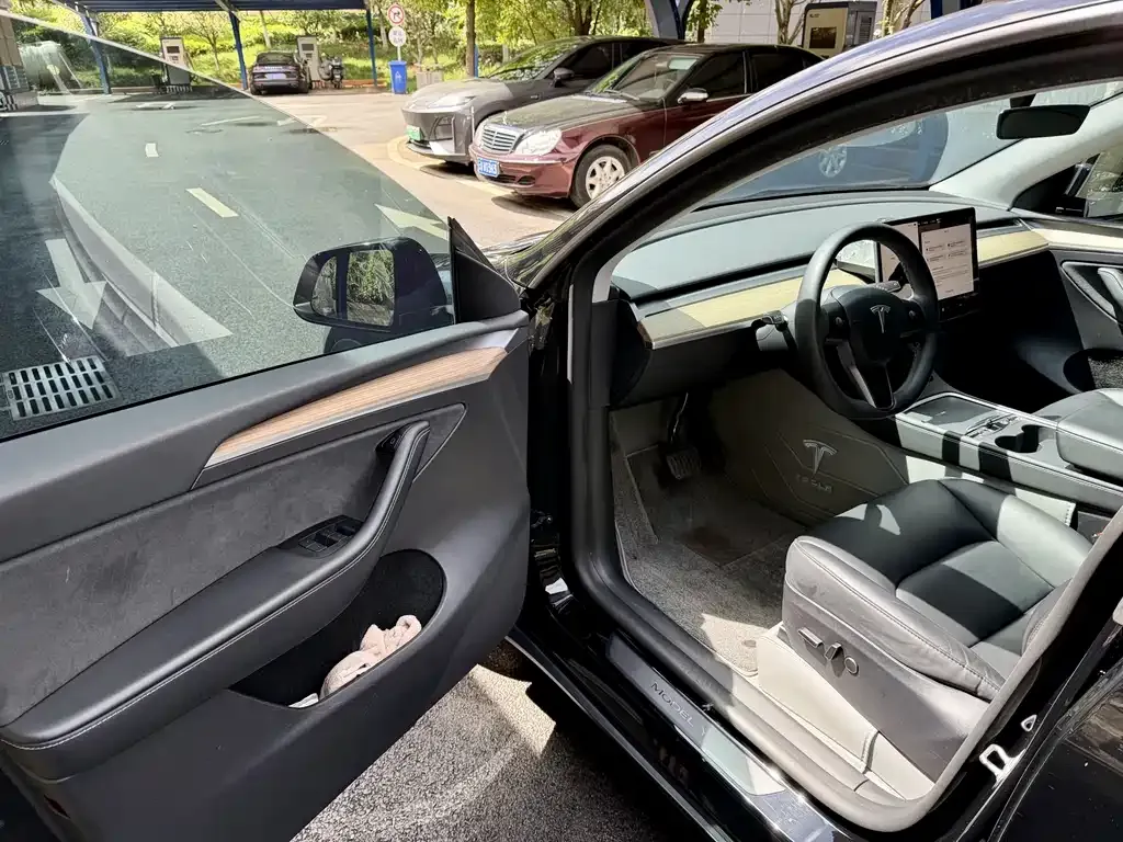 Tesla Model Y — фото 2