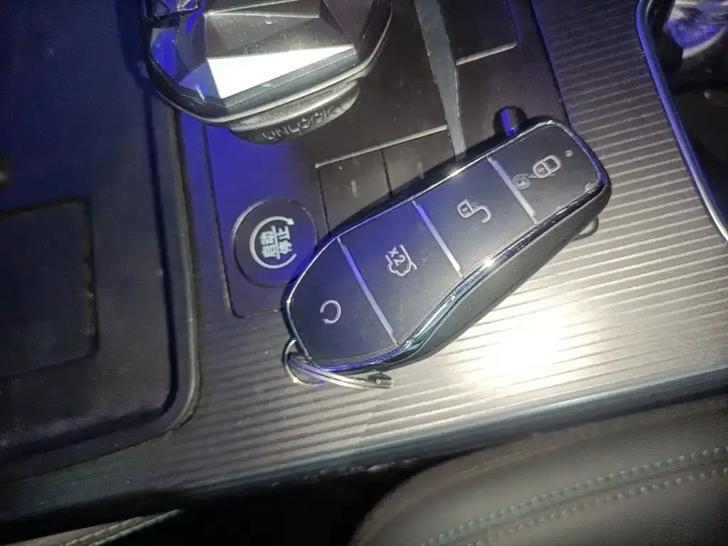 BYD L DM-i — фото 2