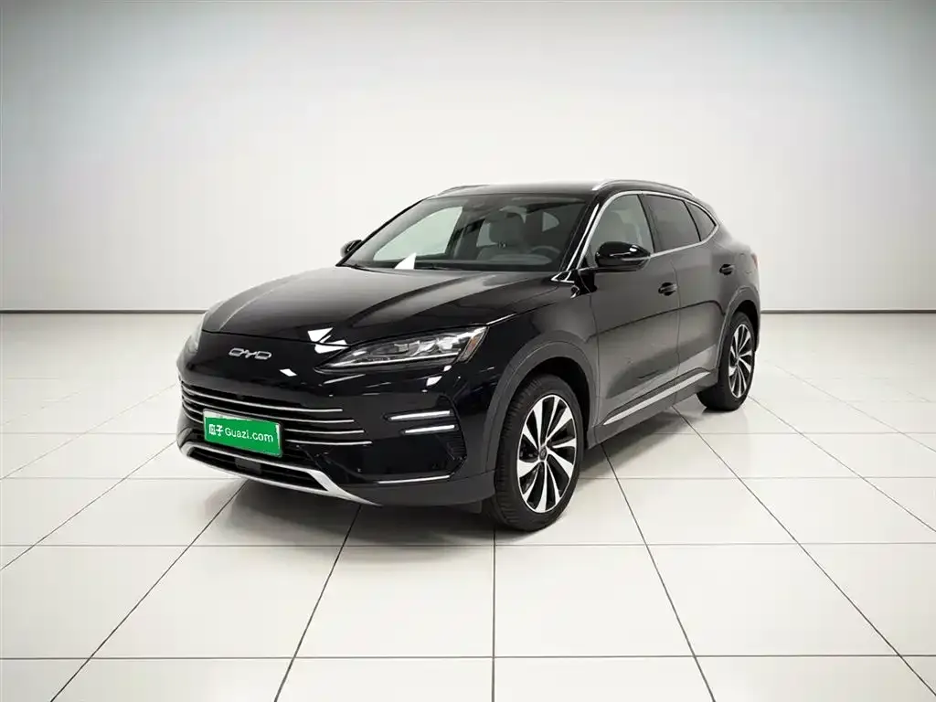 BYD PLUS New Energy — фото 1
