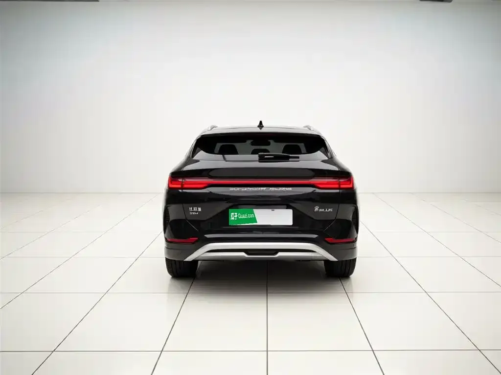 BYD PLUS New Energy — фото 3