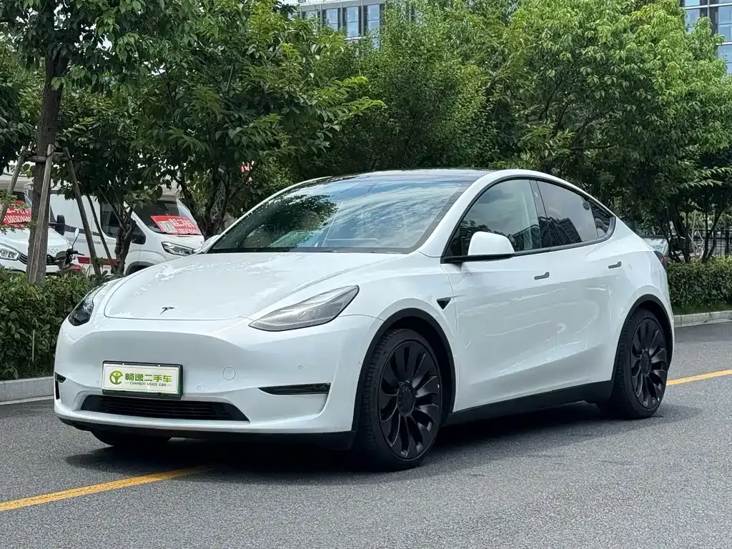 Tesla Model Y — фото 1