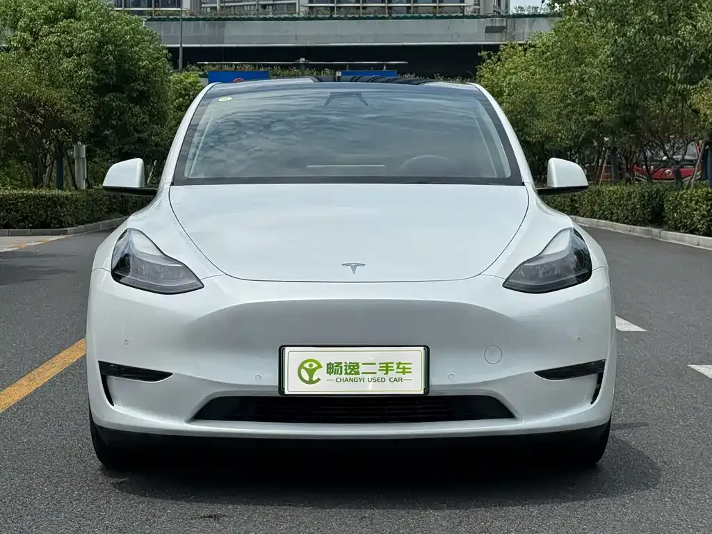 Tesla Model Y — фото 4
