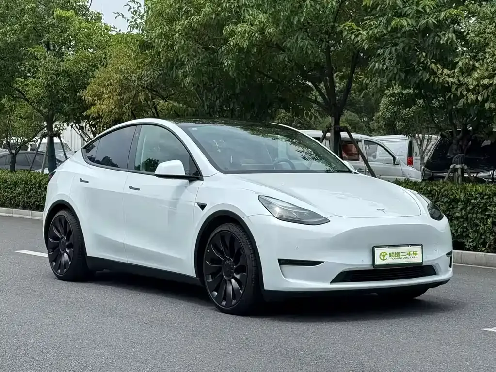 Tesla Model Y — фото 6
